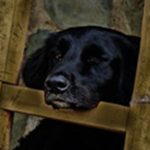 Candidata à polícia apanhada com câmara escondida durante prova no Brasil