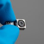 Estratégia e primeiro censo para animais vadios conhecidos até fim do ano