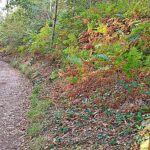 Mulher de 55 anos arguida por furto em estabelecimento em Braga