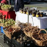 Valença promove sensibilização para o Autismo com foco nas famílias e na inclusão