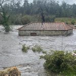 Comissão Europeia apresenta plano de ação contra o cyberbullying para proteger os jovens online