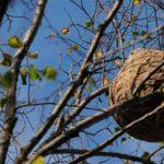 Sorteio para atribuição de quatro habitações no âmbito do Programa de Arrendamento Acessível em Braga