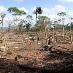 Colombiano paga 162 mil euros para crescer 15 centímetros