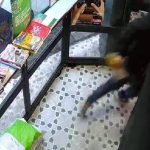 III Festival das Cordas leva formação artística e inclusão cultural a Guimarães