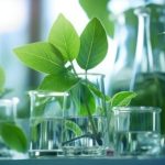 PSD-Guimarães quer avaliação e melhoria do serviço de transportes públicos de passageiros no concelho