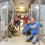 Recorde de casamentos é esperado em Las Vegas na véspera de ano novo