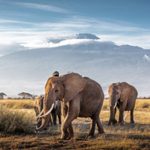 Sete erros que só estão a piorar as suas insónias