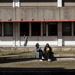 Município de Braga mapeia mais de 102 mil árvores e 1.400 hectares de espaços verdes