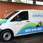 Sintomas da Covid-19 mudaram? Agora, estes são os mais comuns