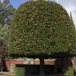 Câmara de Braga uniformiza placas toponímicas do Centro Histórico