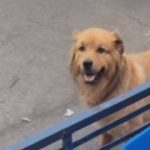 Onda de frio causa frenesim na procura de aquecedores