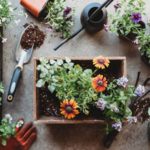 Miguel Alves nega irregularidade em contratação de empresa de comunicação