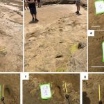 Nélson Oliveira regressa a Portugal e assina pelo Vitória SC