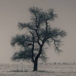 PSP de Braga recupera material furtado