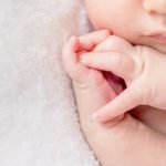 Macaco vindo de Gibraltar deixa Cádis em alvoroço