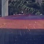 Centro de Recolha de Animais de Companhia nasce em Valença