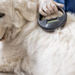 Município de Guimarães reforça coesão social com assinatura de protocolos para Projetos Sociais de proximidade