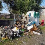 Municípios traçam novo Caminho de Santiago entre o Minho e Trás-os-Montes