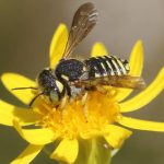 Aliança Democrática quer reforçar parceria de confiança com instituições sociais