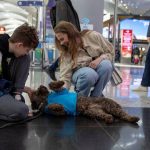 Primavera antecipada? Calor volta no fim de semana com máximas de 26ºC