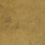 Fortaleça o sistema imunitário (e não só) com estes temperos comuns