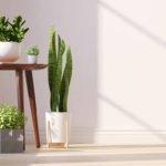 Cerca de 50 animais mortos deixados em frente a loja no Reino Unido