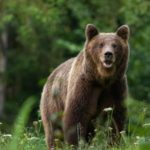 Empresas já podem avaliar a sua capacidade para a digitalização