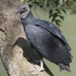 Arrendar casa em Portugal: oferta dispara 81% no início de 2024