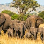 Sinais nada óbvios a que deve prestar muita atenção na diabetes