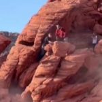 Excesso de elefantes no parque de Maputo leva a equacionar contraceção