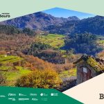 Arguido por maus-tratos a animais de companhia em Terras de Bouro