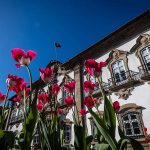 Mau funcionamento da tiroide tem “sintomas e sinais muito inespecíficos”