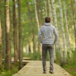 “Parecia ter acordado da hibernação”. Urso invade estrada nos EUA