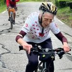 “Parecia ter acordado da hibernação”. Urso invade estrada nos EUA