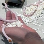 “Sou um rural que ajuda à modernidade”