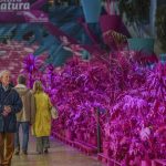 Entidades da Sub Região Cávado debatem e fazem balanço sobre Intercâmbio com o Paraná