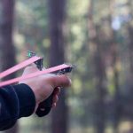 Duas crias de leopardo-das-neves nasceram no zoo de Toronto