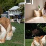 Menina de 11 anos obtém diploma nos EUA (e quebra recorde do irmão)