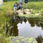 Jovem de 19 anos sobrevive a queda de mais de 120m de altura nos EUA