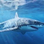 Expressão rabugenta de bebé ‘derrete’ pais (e fotógrafa)