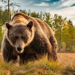 Benefícios surpreendentes de estar ao ar livre (tome nota)