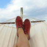 Mais de 60% dispostos a experimentar carne de laboratório