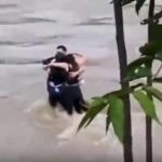 Para fortalecer a memória, médico recomenda estas ervas e especiarias