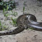 Psicóloga aponta três coisas que pode fazer por si após um dia difícil