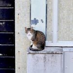 Exames nacionais do secundário começam para mais de 156 mil alunos