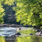 SC Braga ‘rouba’ jovem promessa ao Benfica