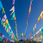 Cooperativa de Vila Verde distribui mirtilos a crianças do concelho