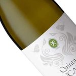 dstgroup promove semana cultural gratuita em Braga