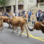 Vila do Gerês acolheu o III Encontro Nacional de Agrupamentos de Baldios da BALADI