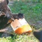 Zélia Mendonça alerta para a violência contra a mulher em exposição no Tribunal da Relação de Guimarães